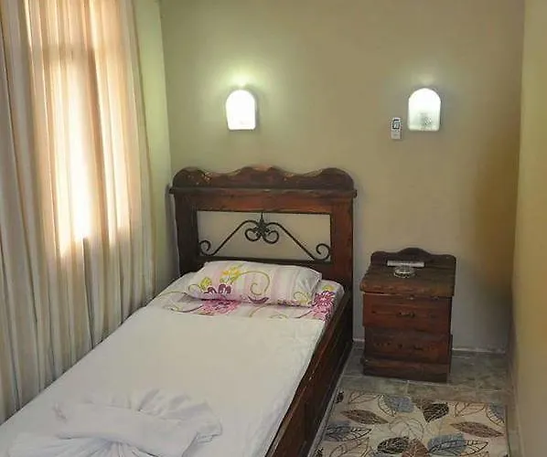 Alis Kusadası