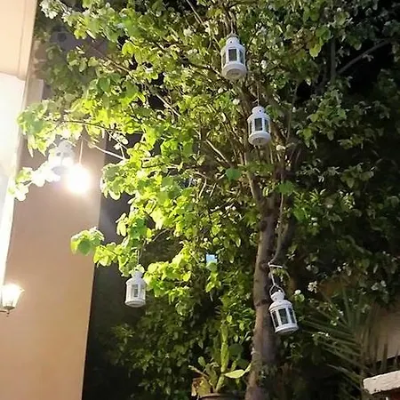 Alis * קוסדסי